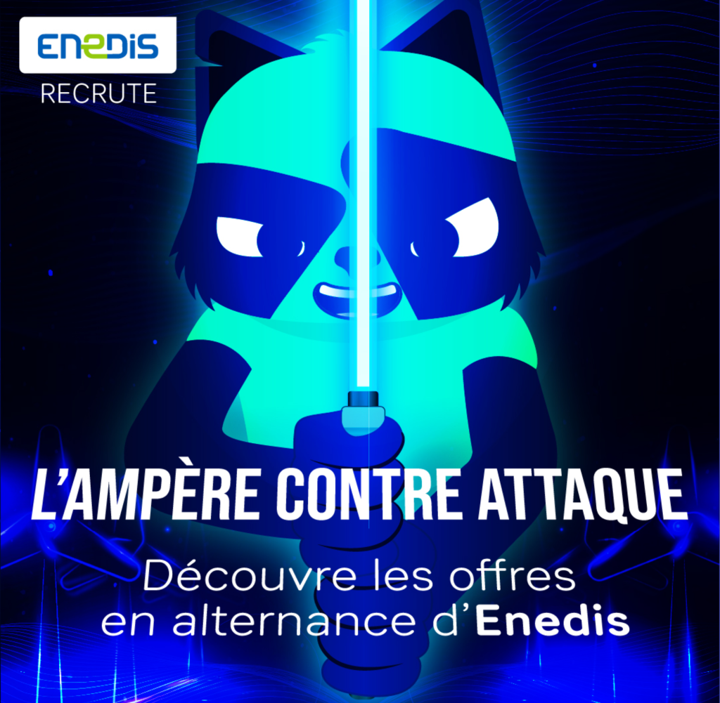 Enedis alternance