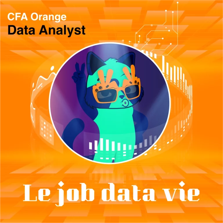 INSTA-data scientiste copie