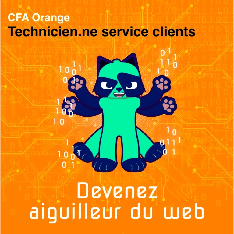 INSTA technicien copie