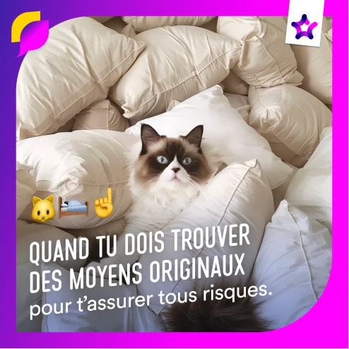 Promotion des métiers - FRANCE ASSUREUR - Post réseaux sociaux - Meme 5